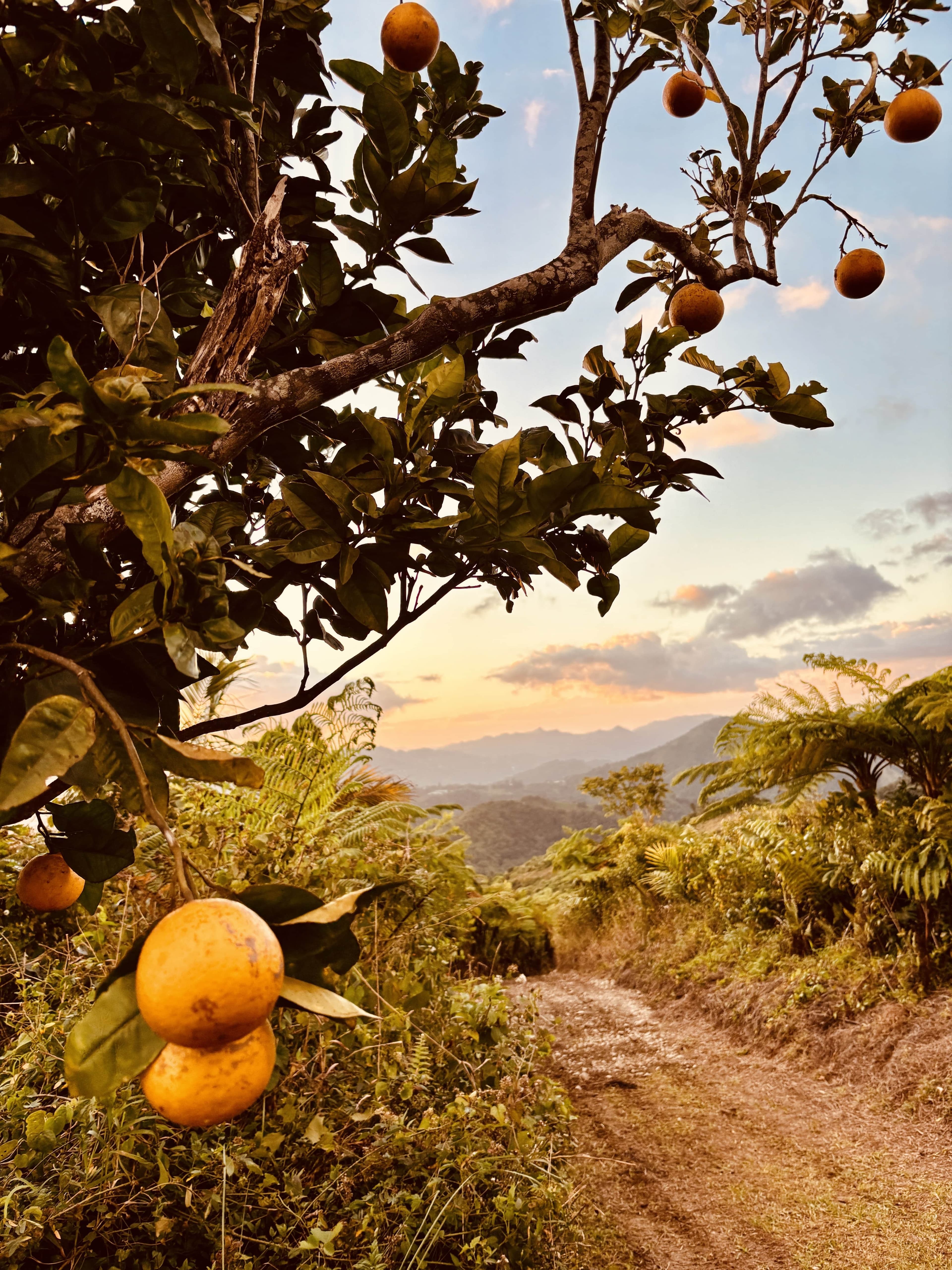 Investor On-Site Weekend